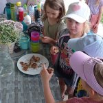 phoca_thumb_m_zajci a oveky 3 Fotogalerie